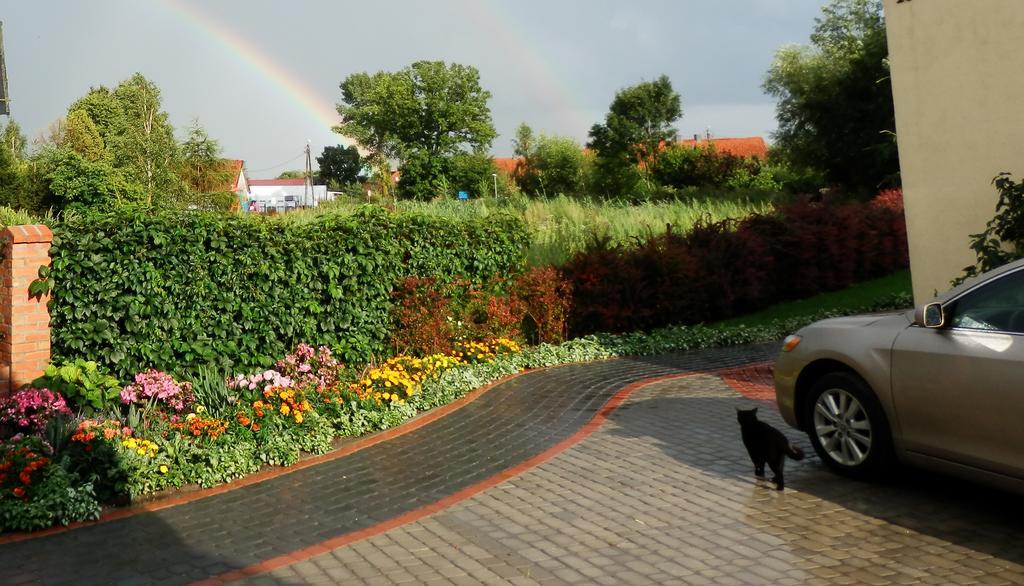 Sloneczny Wodnik Braniewo Exterior foto