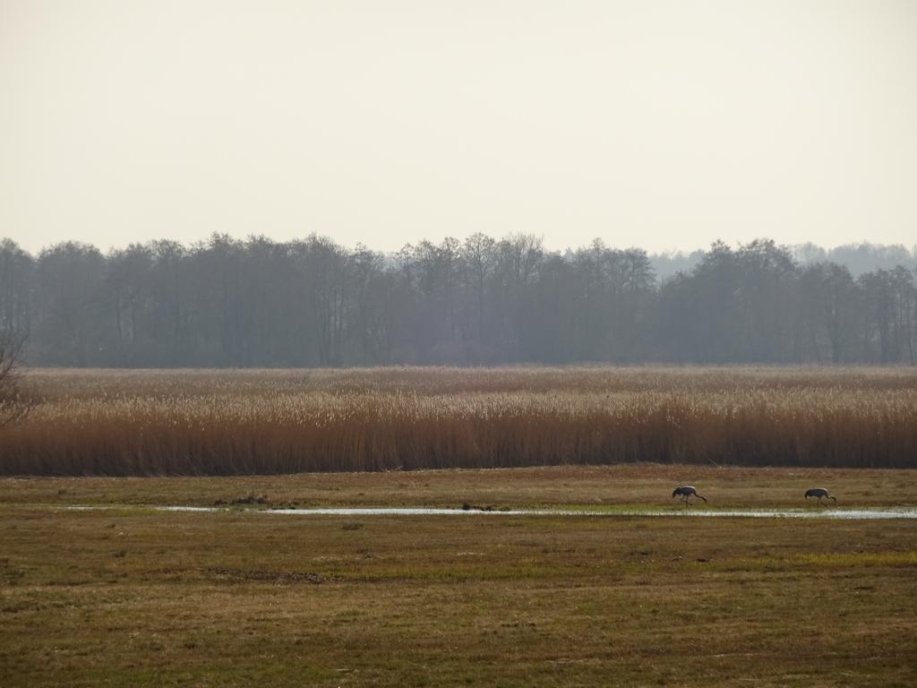 Sloneczny Wodnik Braniewo Exterior foto